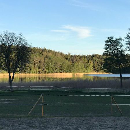 Nice Holiday House At Horse Farm With Lake And Sauna Holo  Zewnętrze zdjęcie