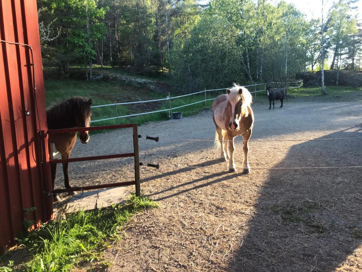 Nice Holiday House At Horse Farm With Lake And Sauna Holo  Zewnętrze zdjęcie